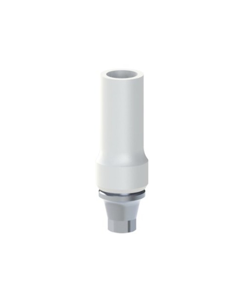 Co-Cr Base with castable kompatibel mit Nobel Biocare®...