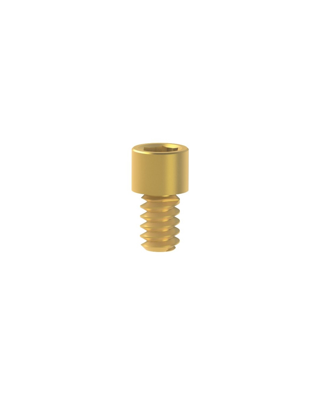 Titanium Screw kompatibel mit BTI® Multi-IM®