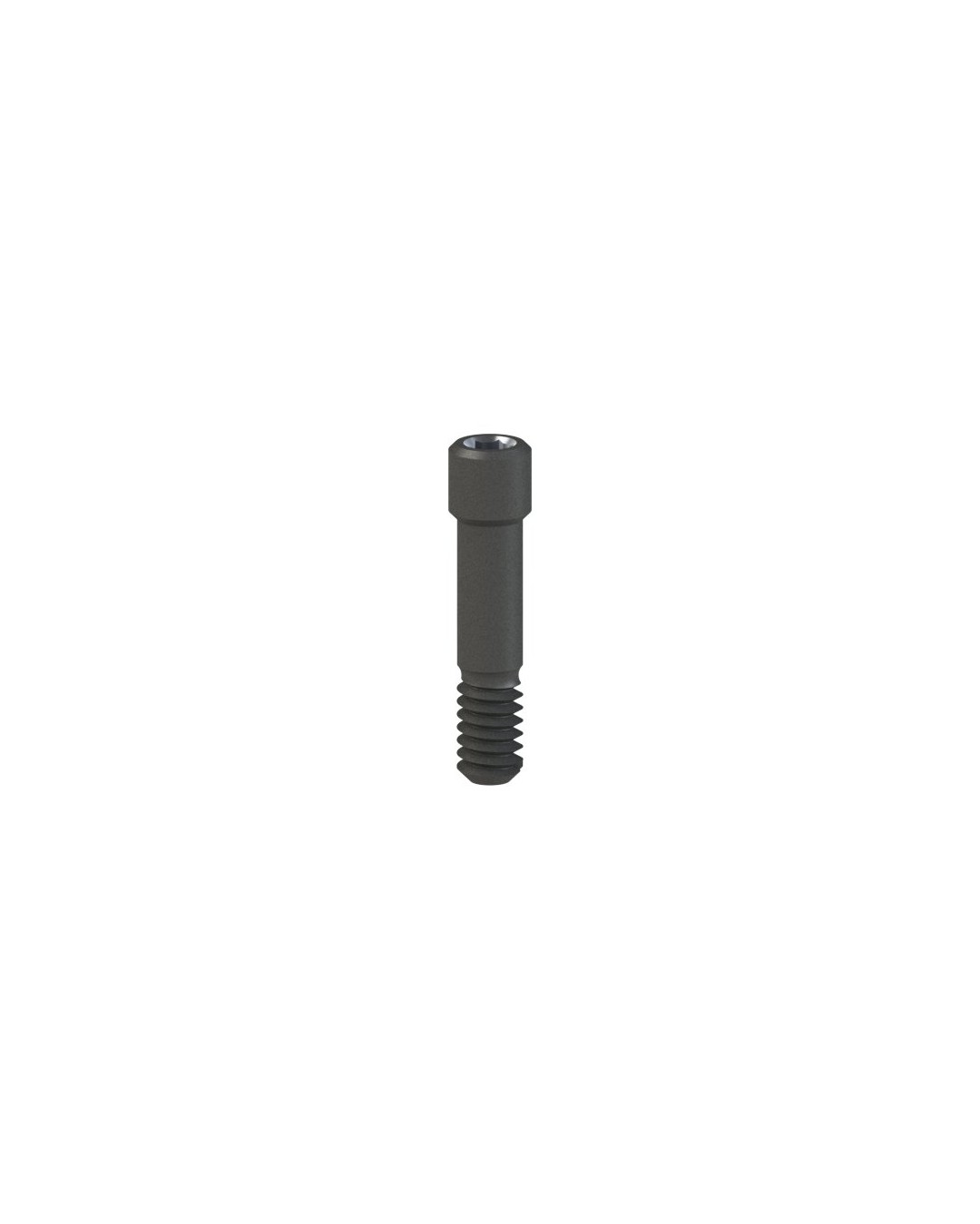 Screws kompatibel mit Camlog® Camlog® System