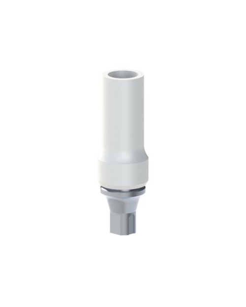 Co-Cr Base with castable kompatibel mit Straumann® Bone...