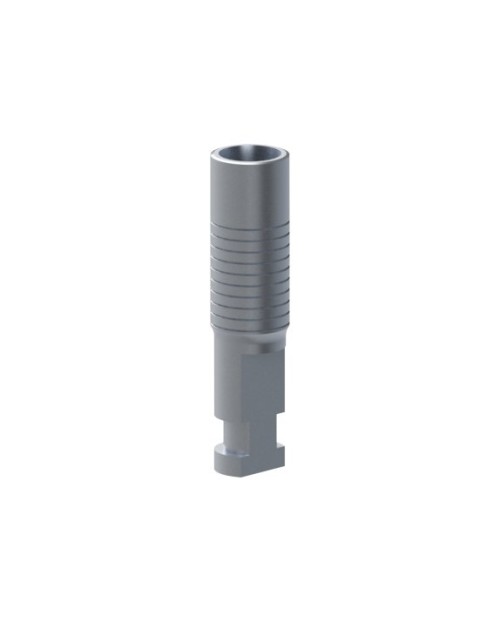 Analoge kompatibel mit Anthogyr® Axiom® BL