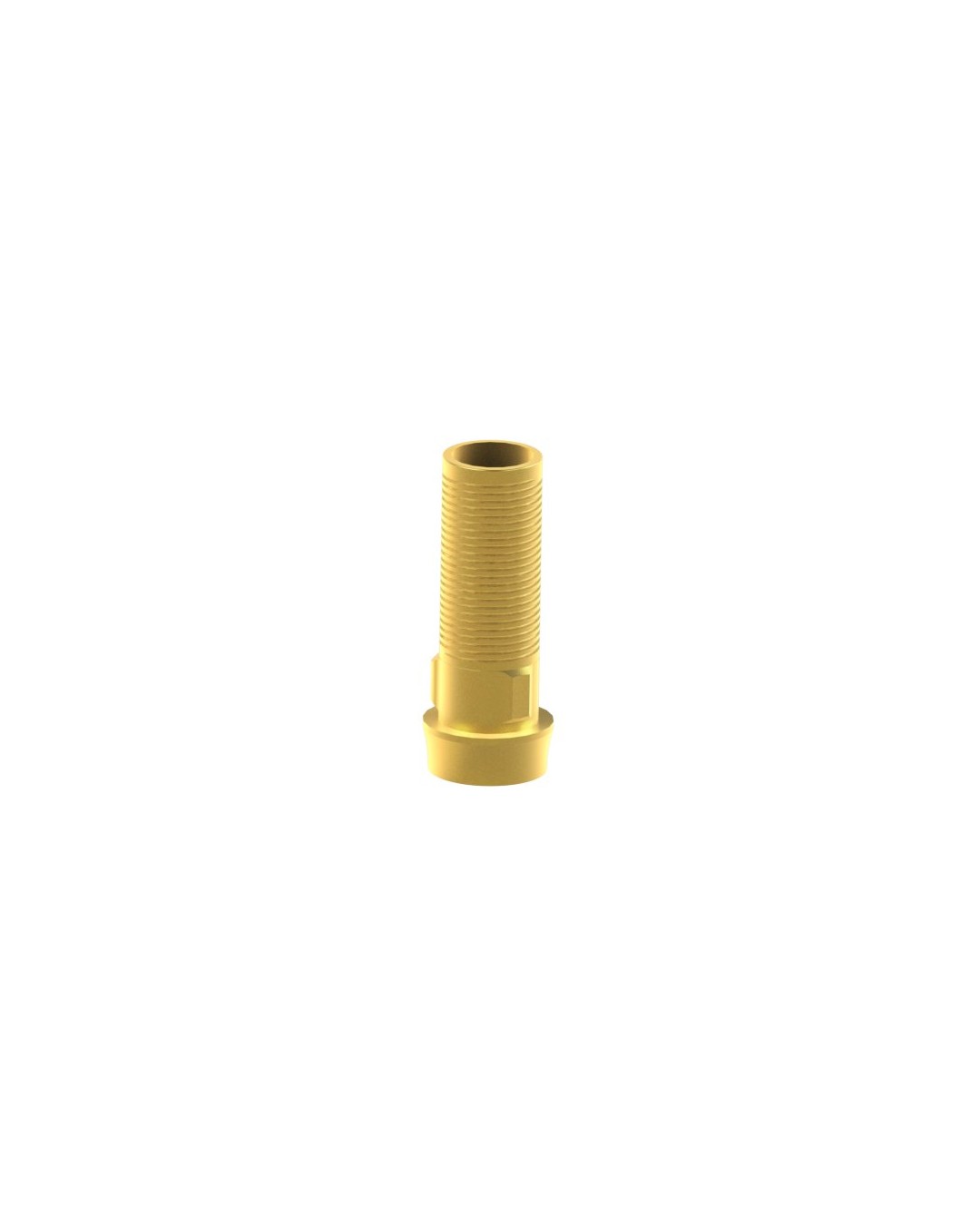 Custom Ti-Base kompatibel mit Biomet® 3i® Osseotite®