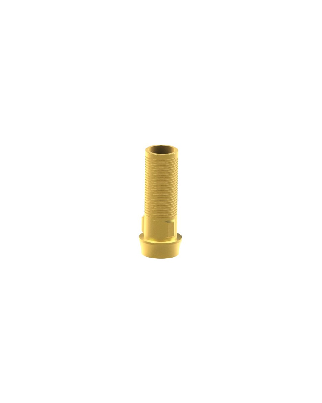 Custom Ti-Base kompatibel mit Phibo® TSH®