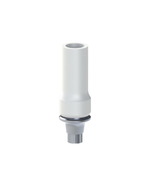 Co-Cr Base with castable kompatibel mit Straumann® BLX®