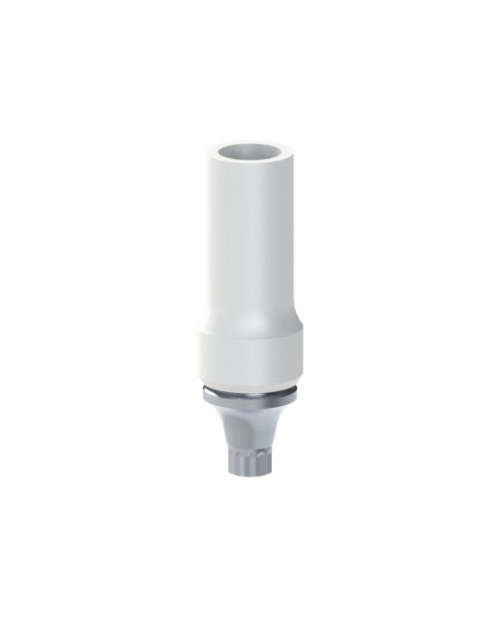 Co-Cr Base with castable kompatibel mit Astra® Osseospeed™