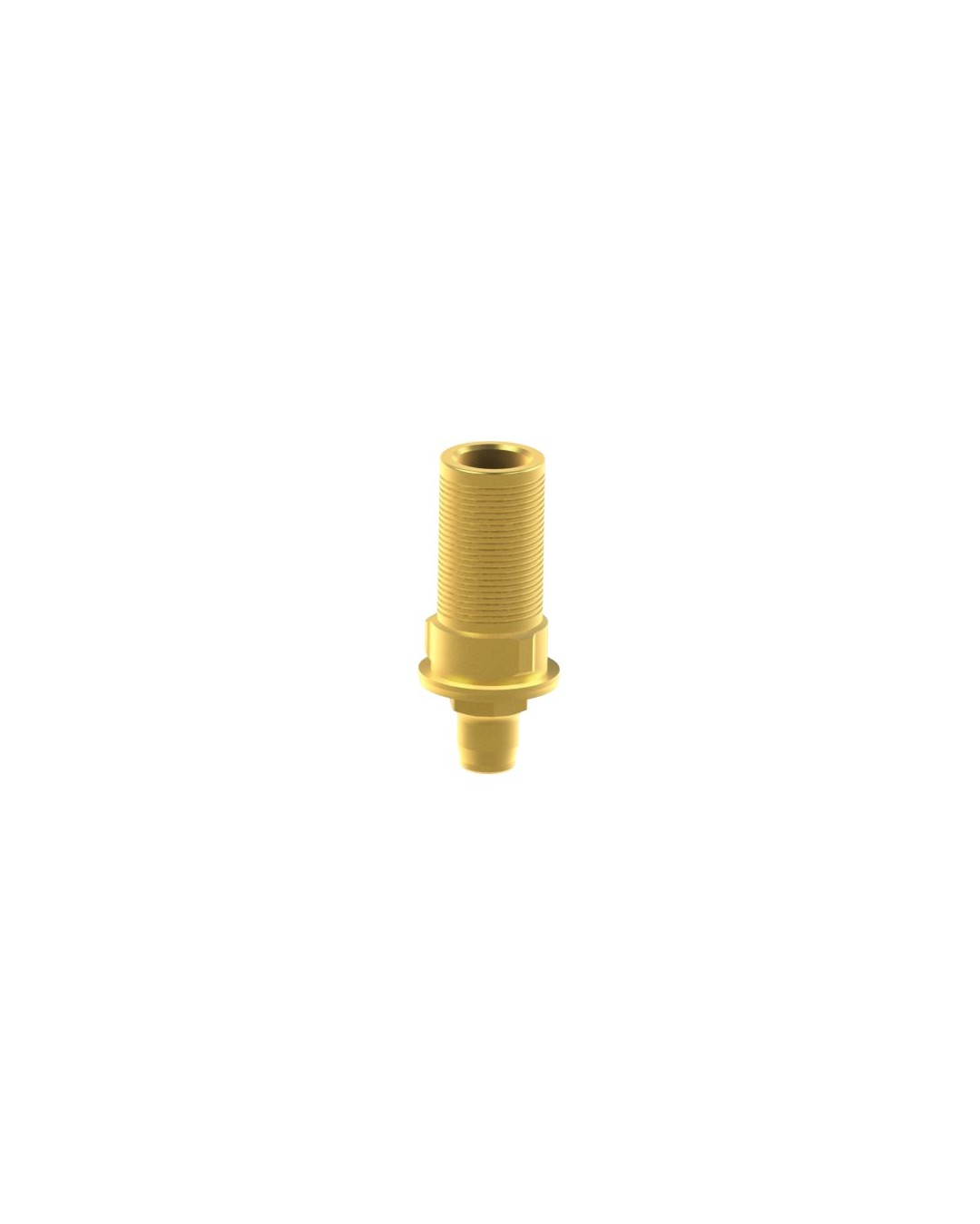 Custom Ti-Base kompatibel mit Biomet® 3i® Osseotite Certain®