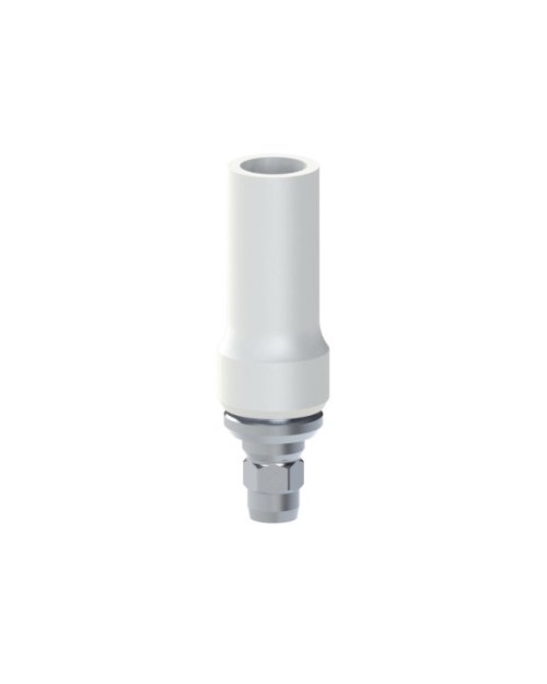 Co-Cr Base with castable kompatibel mit Dentsply...