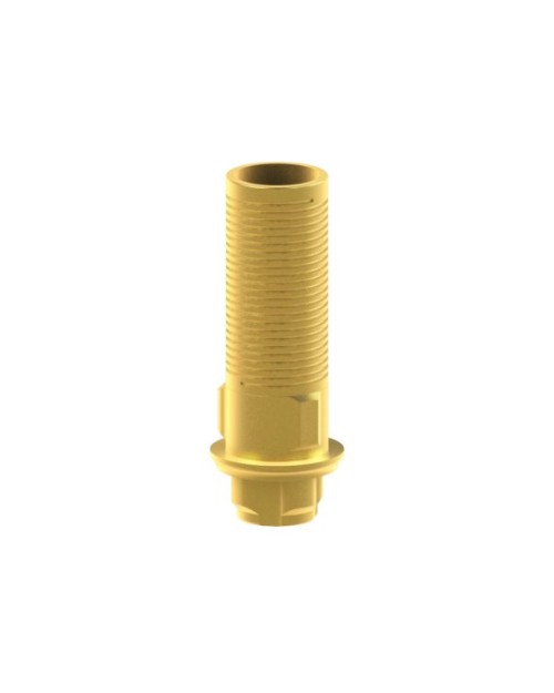 Custom Ti-Base kompatibel mit BTI® Core®
