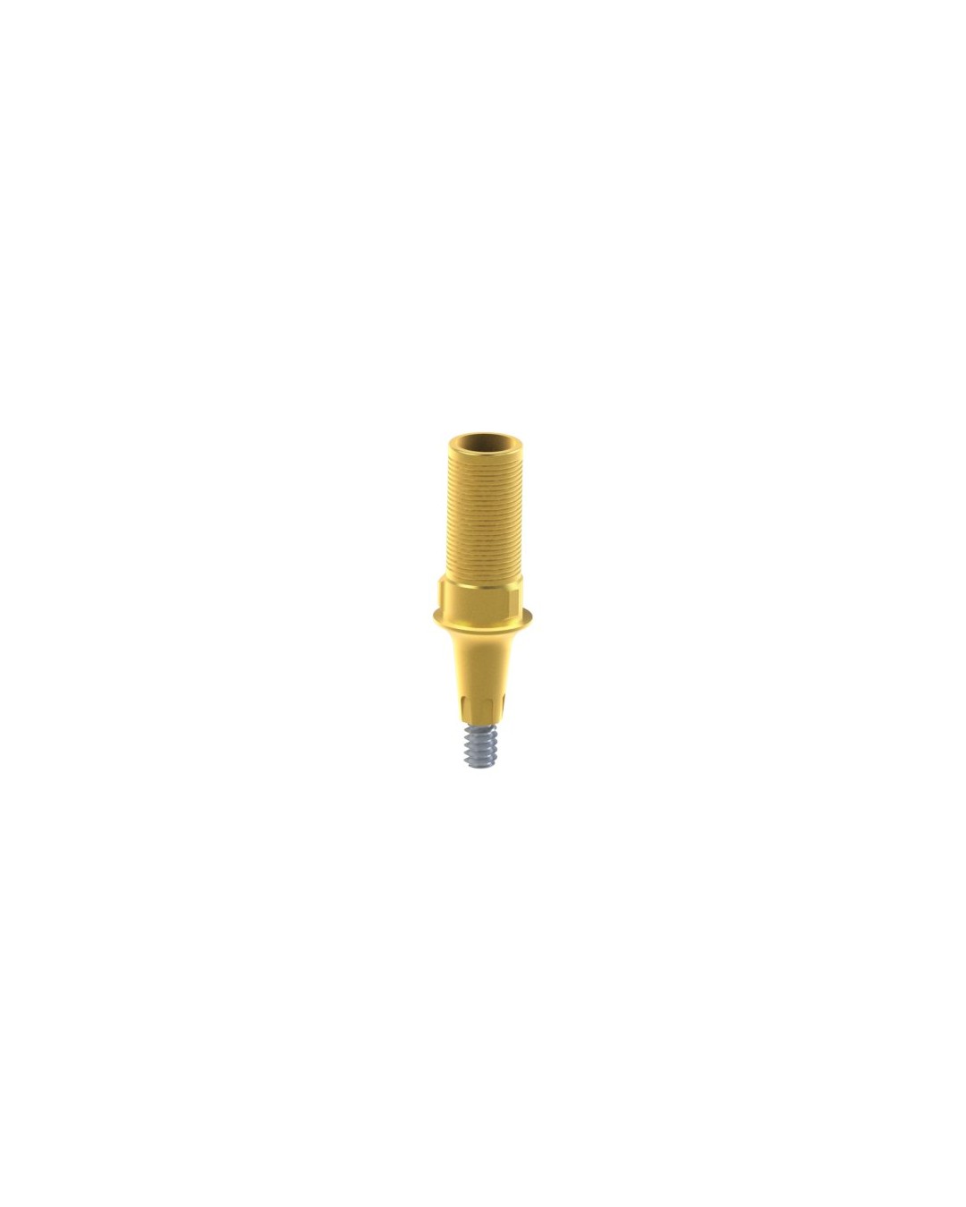 Custom Ti-Base kompatibel mit Dentsply® Ankylos®