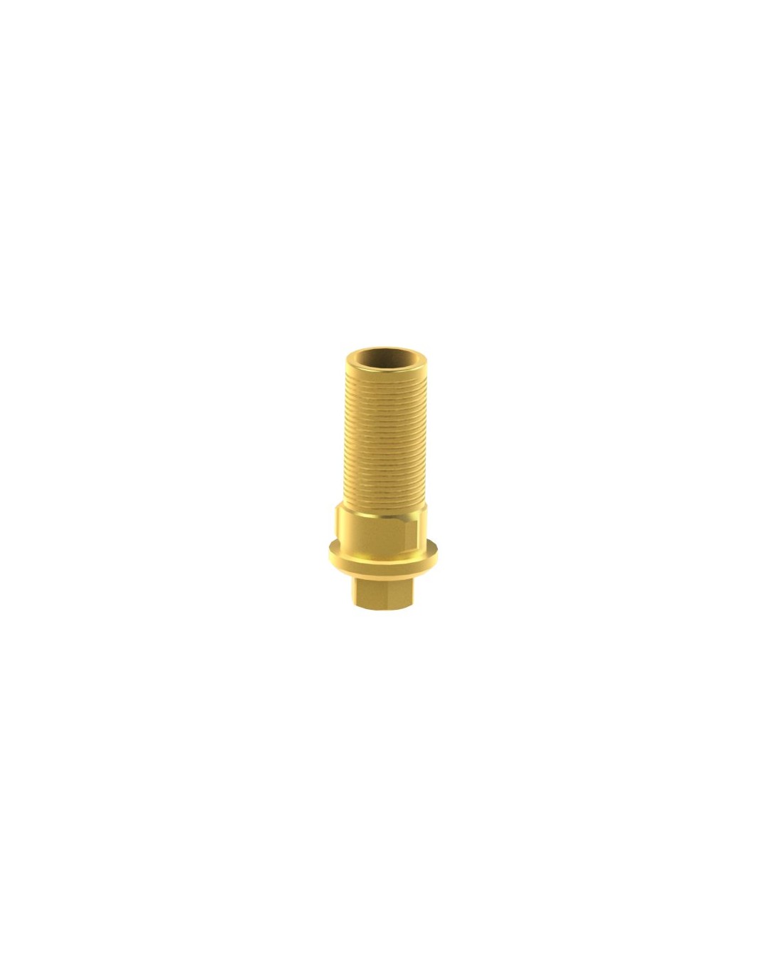 Custom Ti-Base kompatibel mit BioHorizons® Tapered Internal®