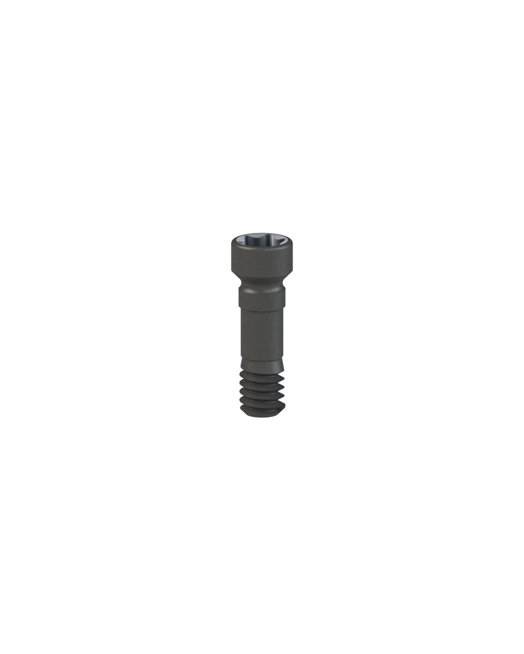 Titanium Screw compatible with Straumann® BLX®