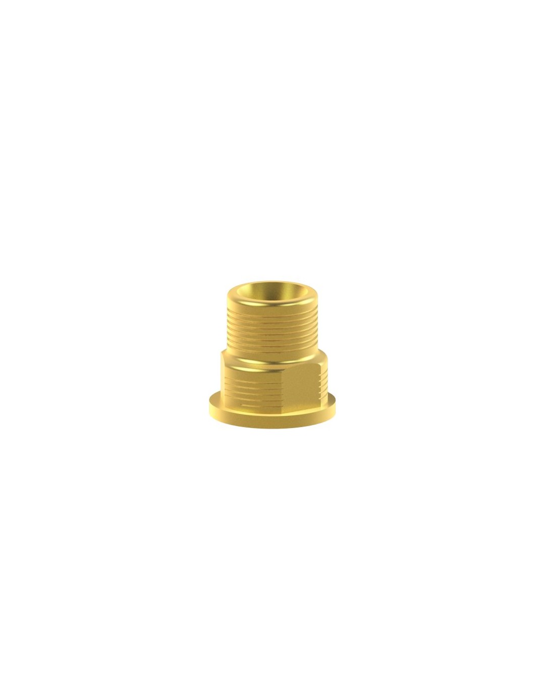 Custom Ti-Base kompatibel mit Biomet® 3i® Low Profile Abutment