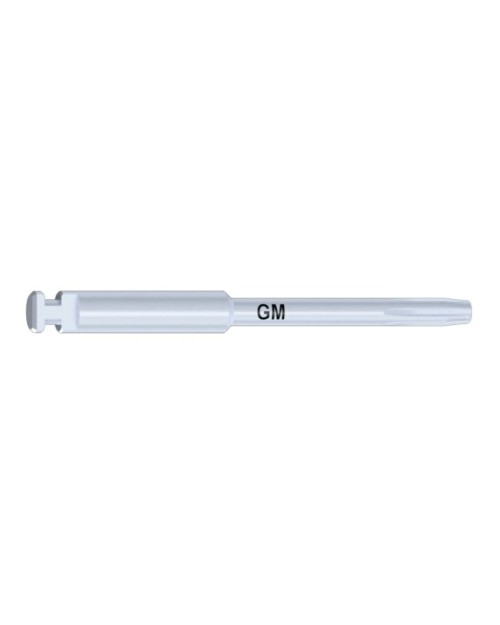 NEO GM tip kompatibel mit Tools Screwtip