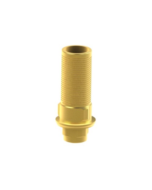 Custom Ti-Base kompatibel mit BTI® Interna