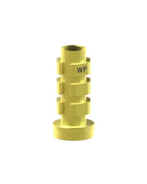 Provisorisches Abutment kompatibel mit Microdent® System®