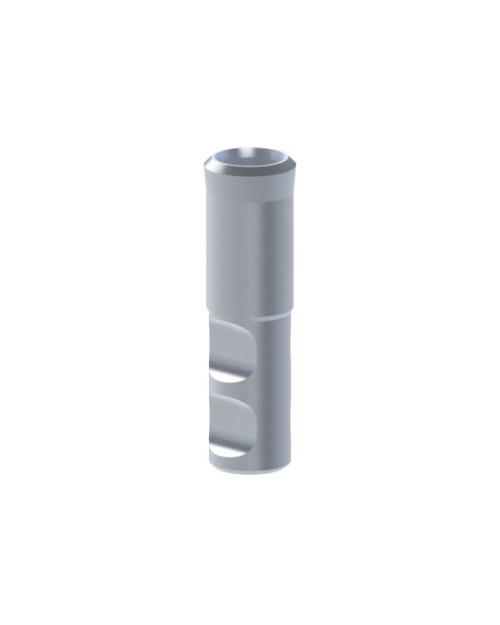 Analogs compatible with Straumann® TLX®