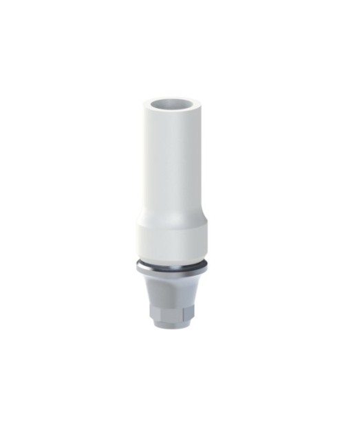 Co-Cr Base with castable kompatibel mit Dentium®...