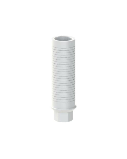 Kunststoffzylinder kompatibel mit BioHorizons® Tapered...