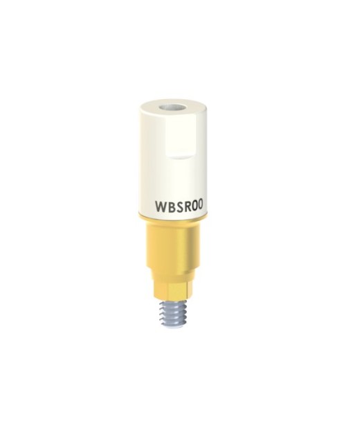 Scan Abutment kompatibel mit Megagen® AnyRidge®