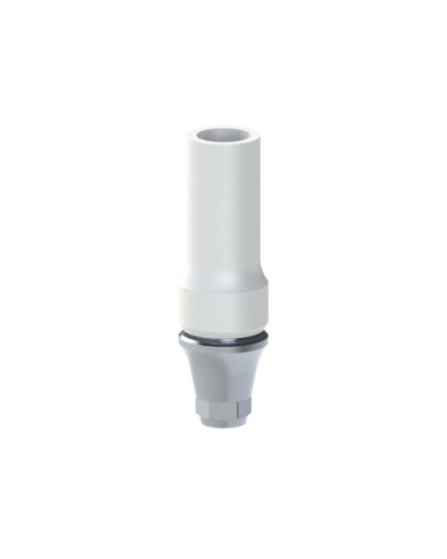 Co-Cr Base with castable kompatibel mit Megagen® AnyOne®