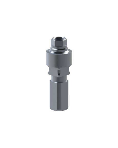 Analoge kompatibel mit Neodent® GM Abutment