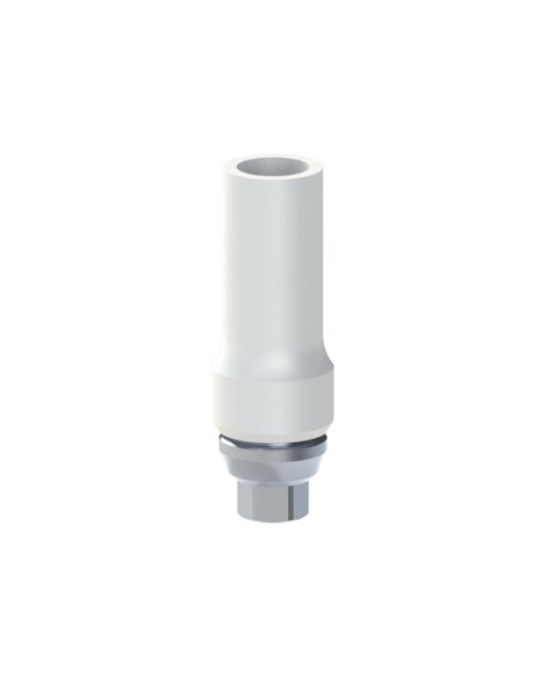 Co-Cr Base with castable kompatibel mit Bego® Semados® SC/RS