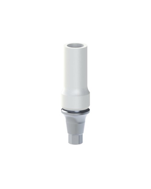 Co-Cr Base with castable kompatibel mit Neodent® Gran...