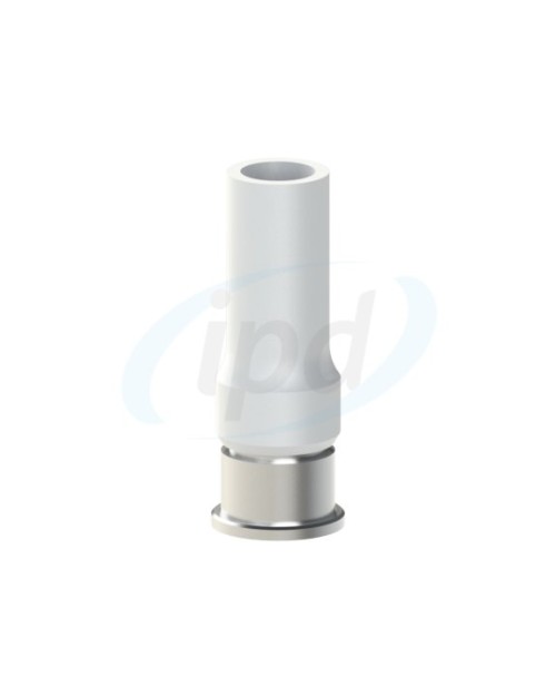 Co-Cr Base with castable kompatibel mit Neodent® GM Abutment