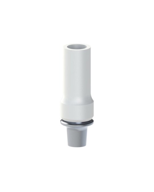 Co-Cr Base with castable kompatibel mit Global D® In-Kone®