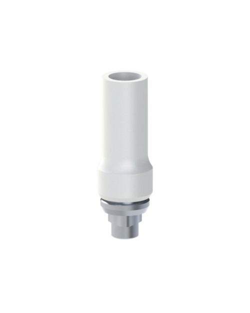 Co-Cr Base with castable kompatibel mit Nobel Biocare®...
